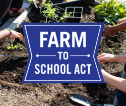 Farm to School Act Will Support Child Nutrition Programs and Local Food Systems in Rebuilding From Pandemic