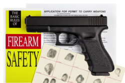 5 Basic Firearm Safety Rules To Always Remember