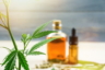 Is CBD Oil the Same Thing as Hempseed Oil?