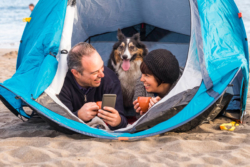 7 Tips For Camping With Your Dog