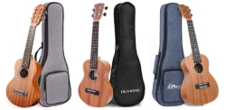 Why choose a Guitarlele over Guitar and Ukulele