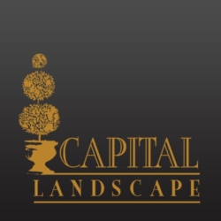 Capital Landscape, A Trusted Landscape Contractor in Elk Grove, Sacramento, and Roseville