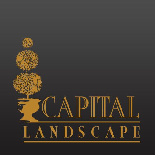 Capital Landscape, A Trusted Landscape Contractor in Elk Grove, Sacramento, and Roseville Capital Landscape, A Trusted Landscape Contractor in Elk Grove, Sacramento, and Roseville