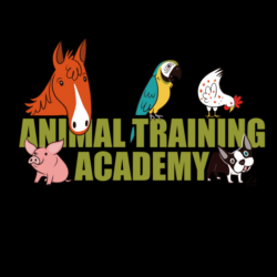 Pet Professional Guild Announces Animal Training Academy as New Corporate Partner