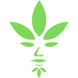 DAB Cannabis Provides Premium Cannabis Products in Ontario