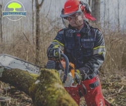 5 Reasons you require emergency tree removal services