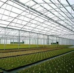 Tarps Now® Releases Guide for the use of Clear Tarps for Greenhouse Applications
