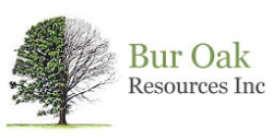 Bur Oak Resources Offers Wind Turbines in Ontario