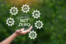 Building Net Zero Structures for Less Carbon Footprints? Here’s How You Can