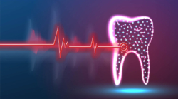 The Link Between Oral Health and Heart Disease