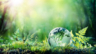 4 Things Your Business Can do to Reduce Your Environmental Impact