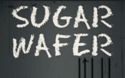 Cast members of Alien Robb’s horror film "Sugar Wafer" to attend NJ EXXXOTICA Nov. 3-5 Edison NJ