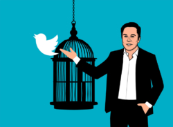 Elon Musk and the SEC Probe: A Closer Look at the Twitter Takeover