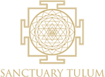 Revitalize Life through Sanctuary Tulum’s Advanced Ibogaine Treatment