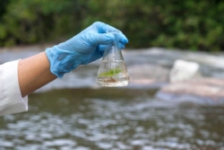 From Pollutants to Purity: Bioremediation's Impact on Wastewater