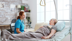 How to Choose the Right Hospice Provider for Your Loved One