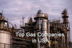 Top Gas Companies in USA: Analytics, Revenue, and Market Share