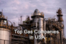 Top Gas Companies in USA: Analytics, Revenue, and Market Share
