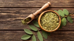 Moringo Bioscience Highlights Role of Moringa Capsules in Blood Sugar Regulation