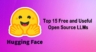 Top 15 Free and Useful Open Source LLMs in 2025 (Hugging Face Ready)